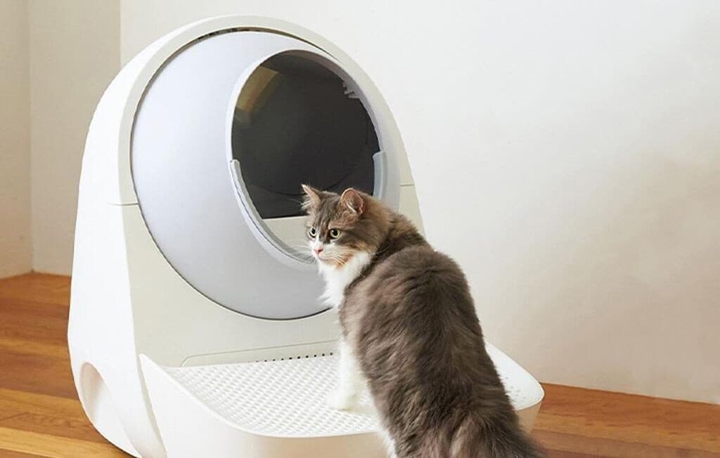 CATLINK Pro-X Luxury automatische Katzentoilette