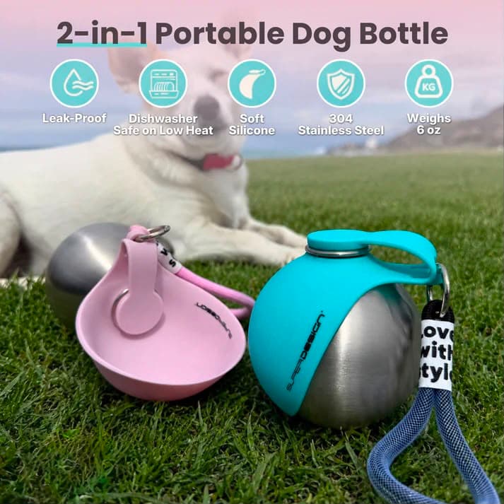 2-in-1 Portable Dog Bottle – features infographic